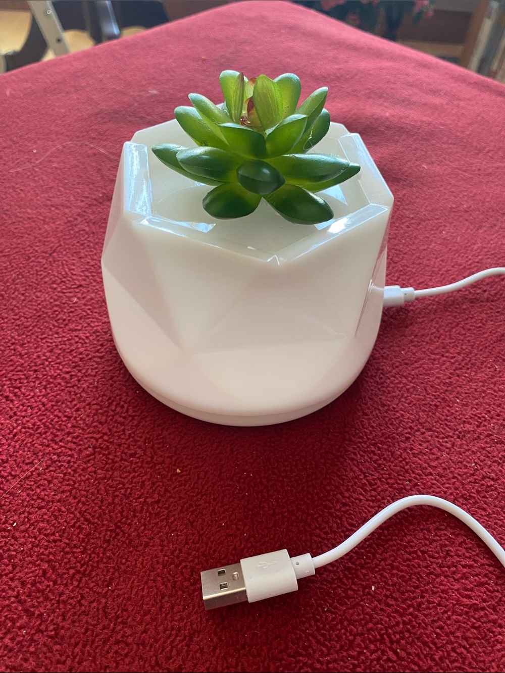 White Geometric USB Succulent Diffuser